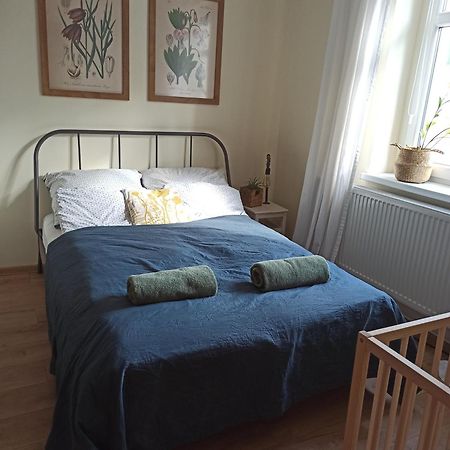 Apartament Przy Wandy Zielona Góra Eksteriør bilde